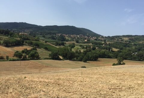 TOSCANA – VAL D’ORCIA – CETONA