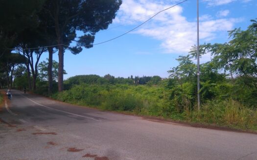 Statuario – Via Appio Claudio