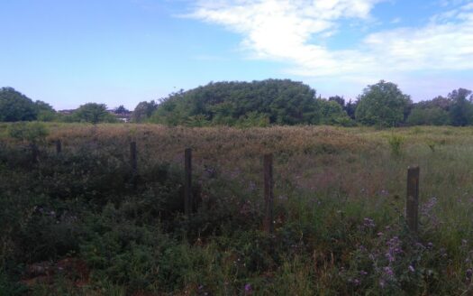 Statuario – Via Appio Claudio