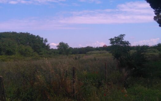 Statuario – Via Appio Claudio