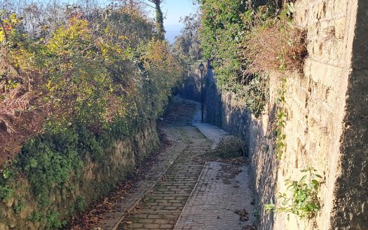 NEMI – Via dei Castagni