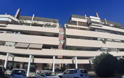 Statuario – Via Polia