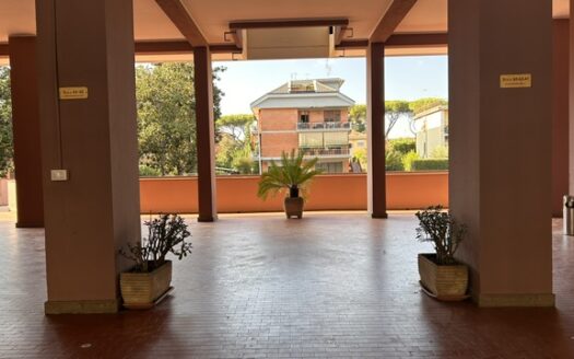 STATUARIO – Via Polia