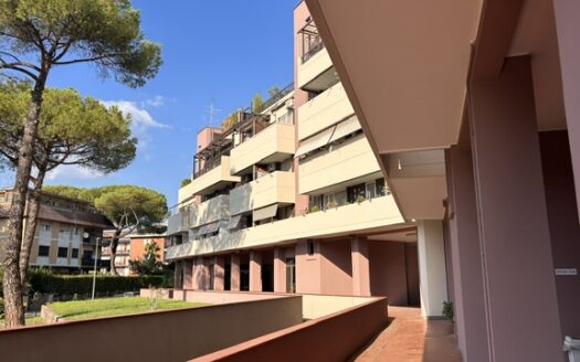 STATUARIO – Via Polia